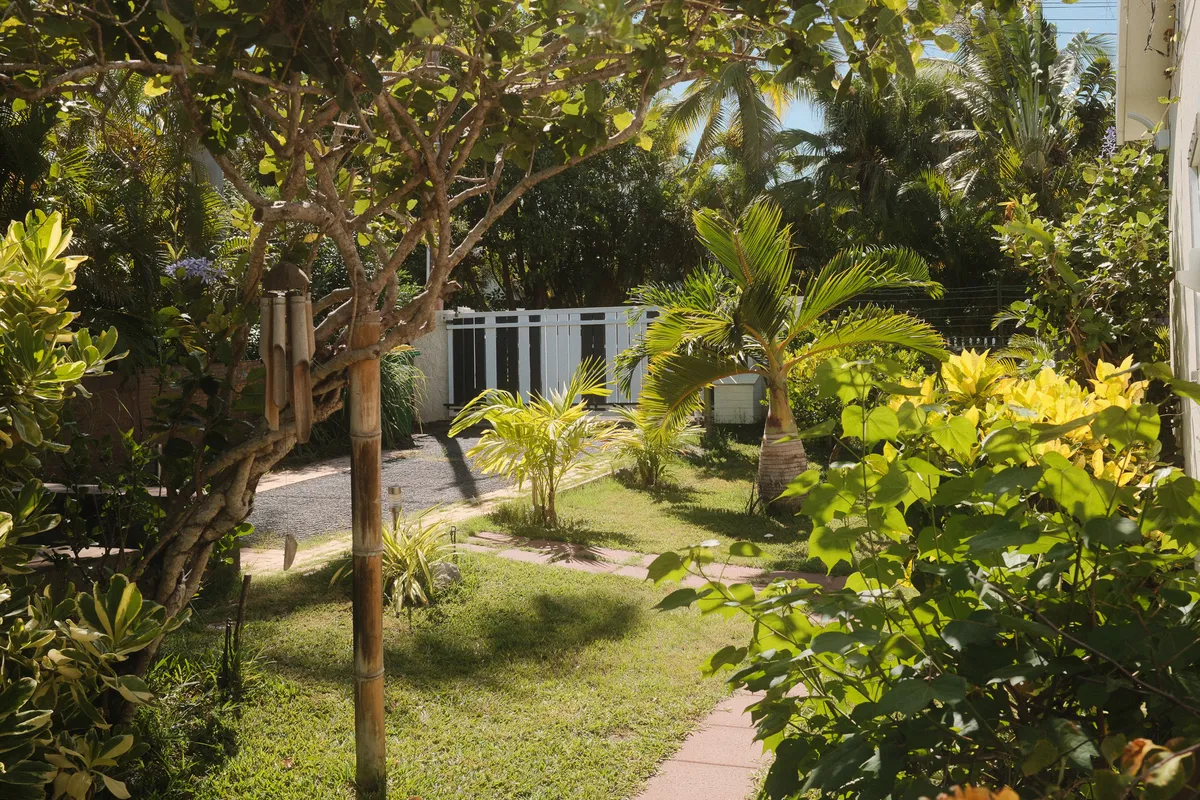 Allée dans le jardin tropical luxuriant menant au bungalow